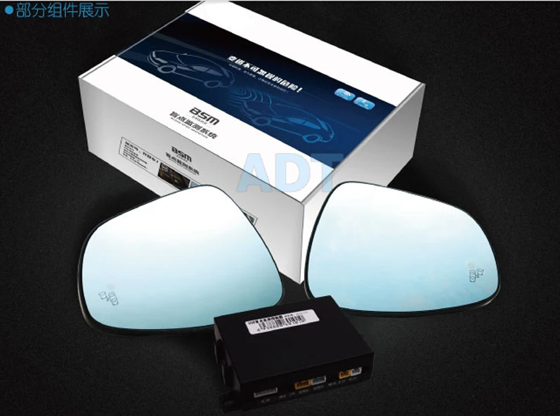 Blind spot monitor system (10)
