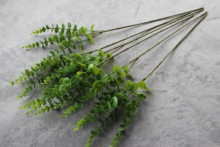 Simulate plants Eucalyptus leaves (13)
