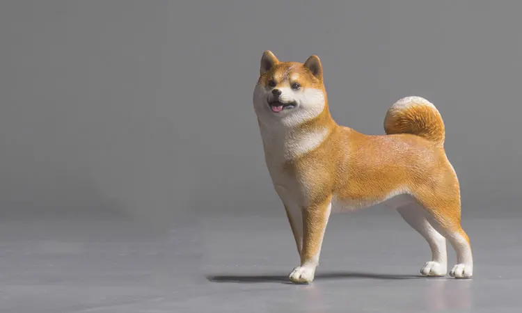 未标题-7