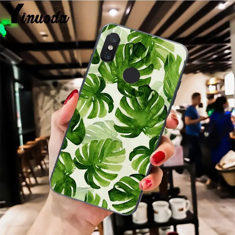 Palm tree Leaves pattern  