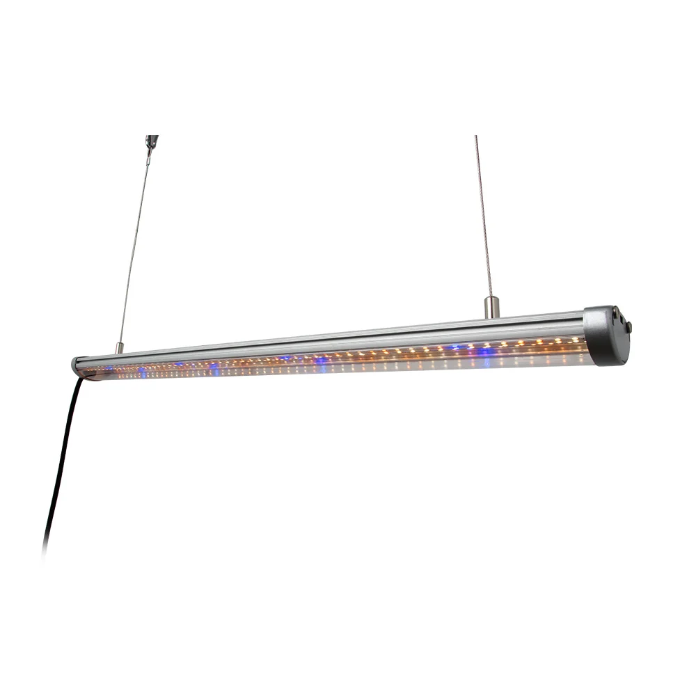 3 Year Warranty LED grow light strip full spectrum fitolampy for indoor seedling Vegetable Greenhouse Grow Tent phyto lamp