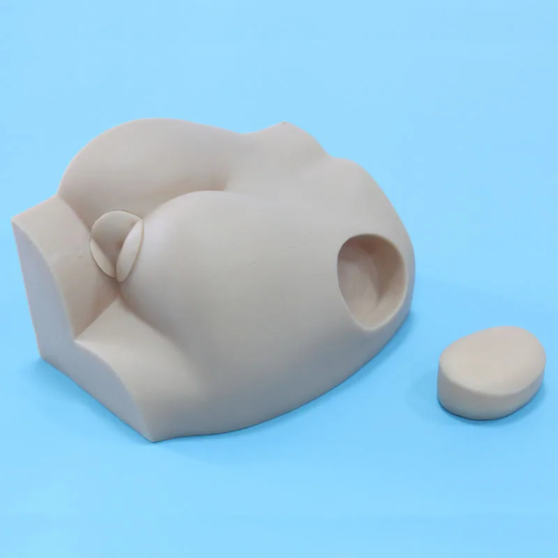 Accessories practice model buttock training apparatus injection model teaching training specific model