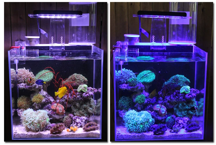 Светодиодный светильник кораллового цвета для выращивания морских рифов, белый и синий аквариумный аквариум SPS LPS, цветной светильник ZET