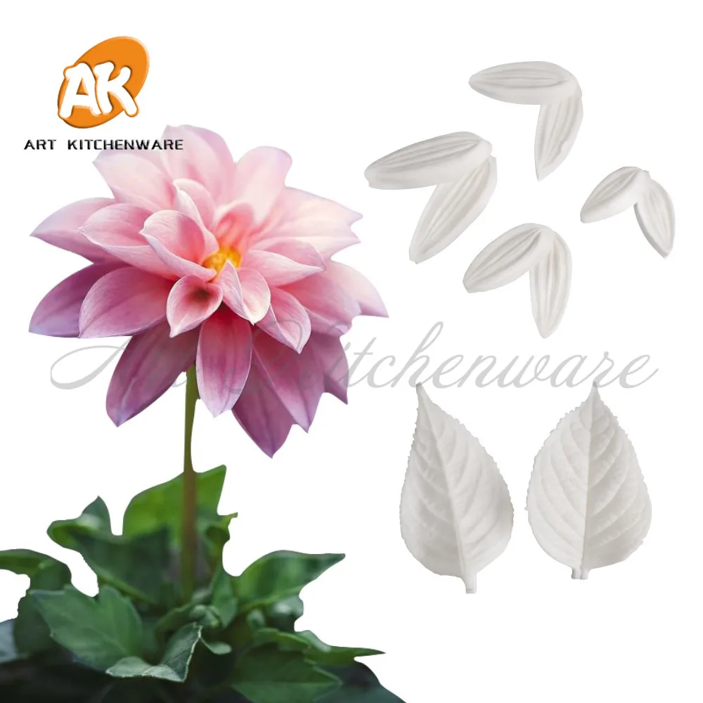 dahlia-5