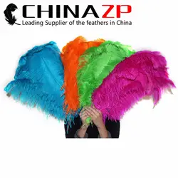 Chinazp оптовая продажа с фабрики 70-75 см (28-30 дюймов) 100 шт./лот Одежда высшего качества окрашенная смесь цветов перья страуса