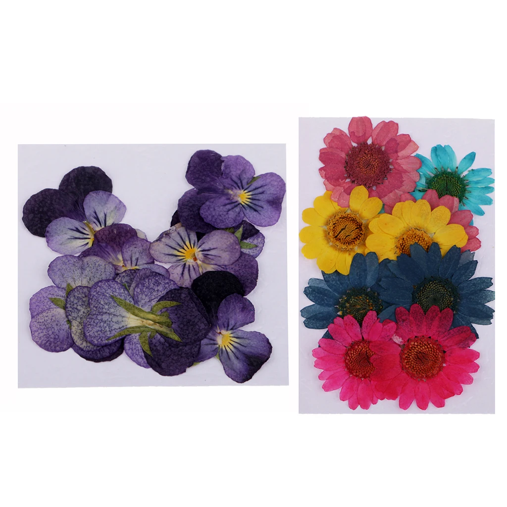 

22Pieces Multiple Real Dried Flowers Soap Making Pressed Flowers DIY Scrapbooking Album Card Making Supply