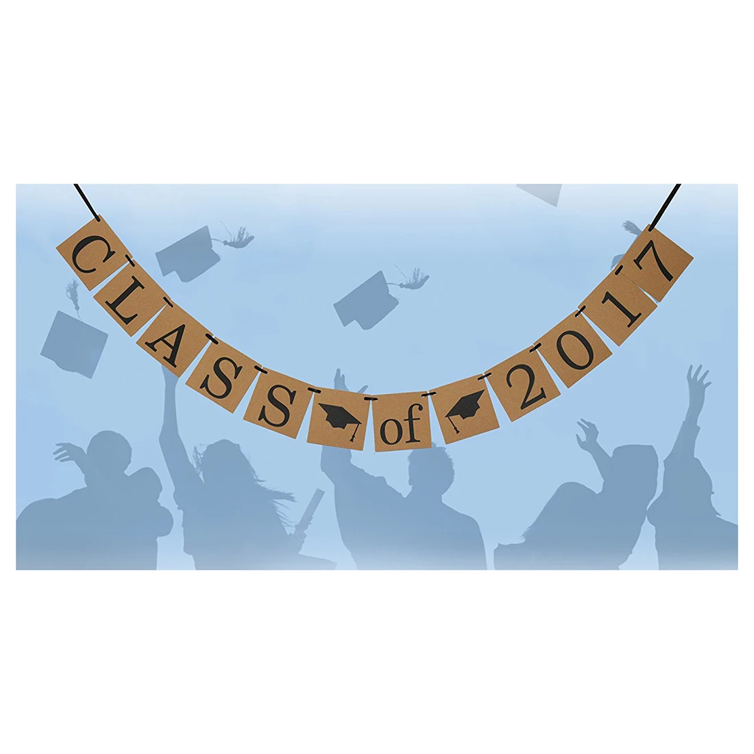 aima class of 2017 banner graduation sign photo props graduate party