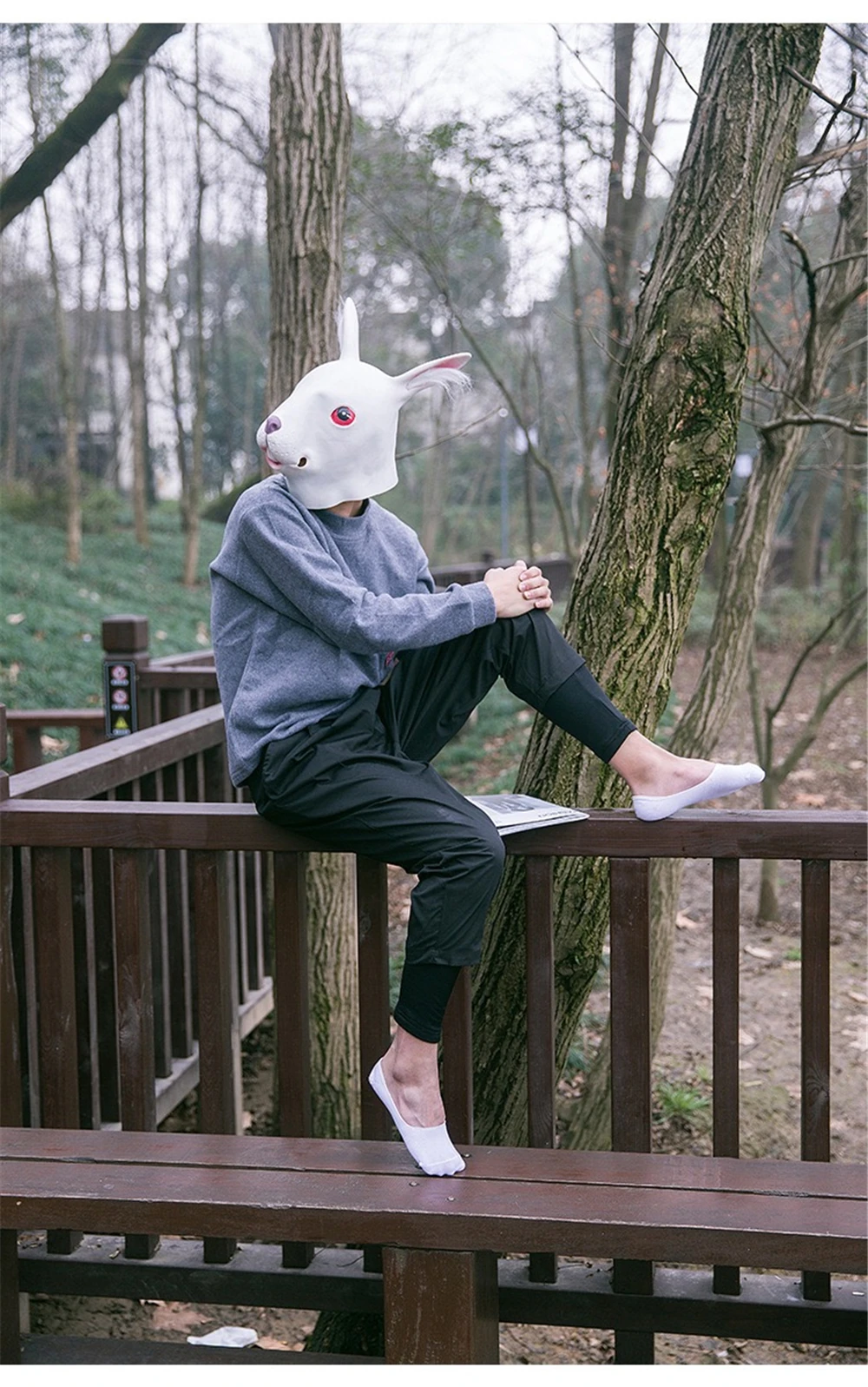 _20190429142700