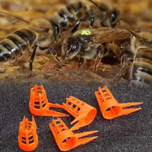 50 шт. Пчеловодство разведение пчел Кубок королева приспособление для пчеловодства Bifurcation колыбельный открытый защитный чехол