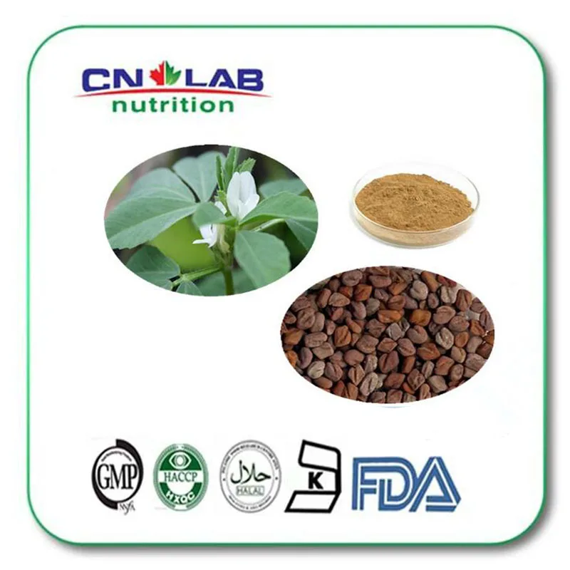 ISO Manufacture Supply new trigonella foenum-graecum/Fenugreek Seed Extract10:1 1000g/lot hot 100% pure fenugreek seed extract methi extract
