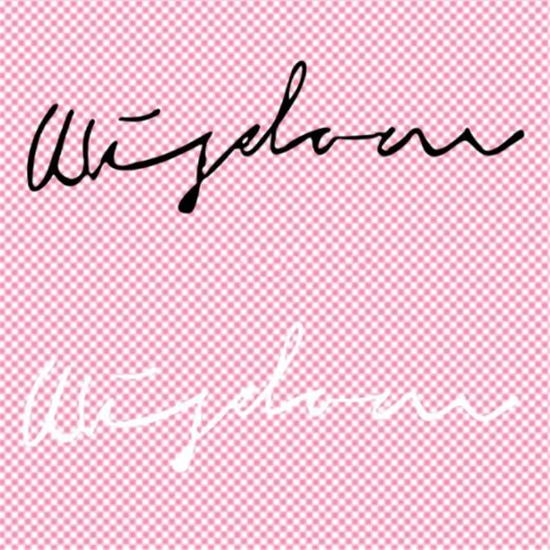 

Fashion Street Icon Women Men Clothes 20CM Letters Iron on transfer Printing Patches for clothing T-shirt Patch DIY Stickers