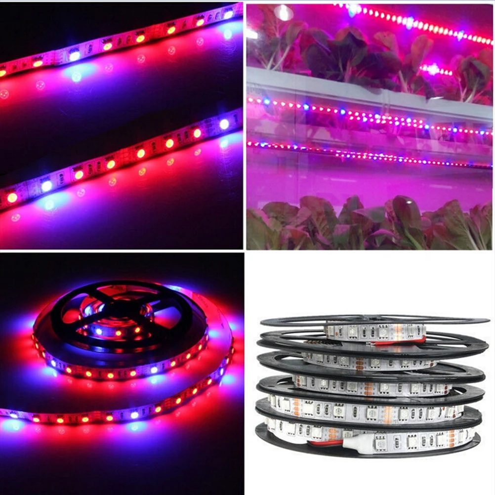 5m 5050 SMD Hydroponic Systems Led Plant grow light Waterproof Led Grow
