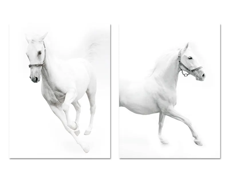 All-blue--800--new_02