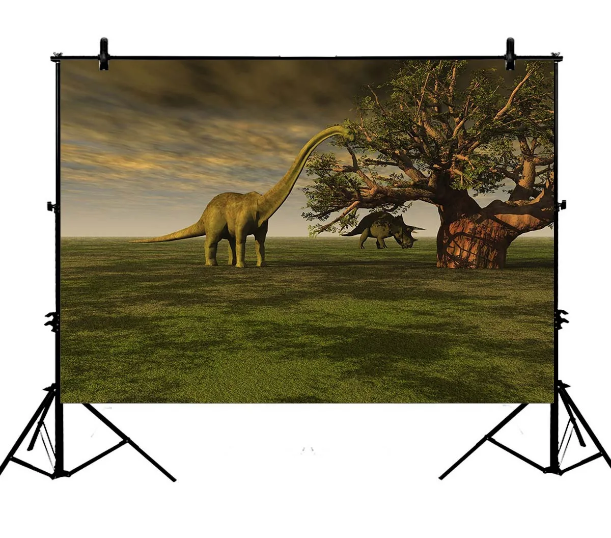 

5x7ft Dinosaurs Room Mural Polyester Photo Background Portrait Backdrop