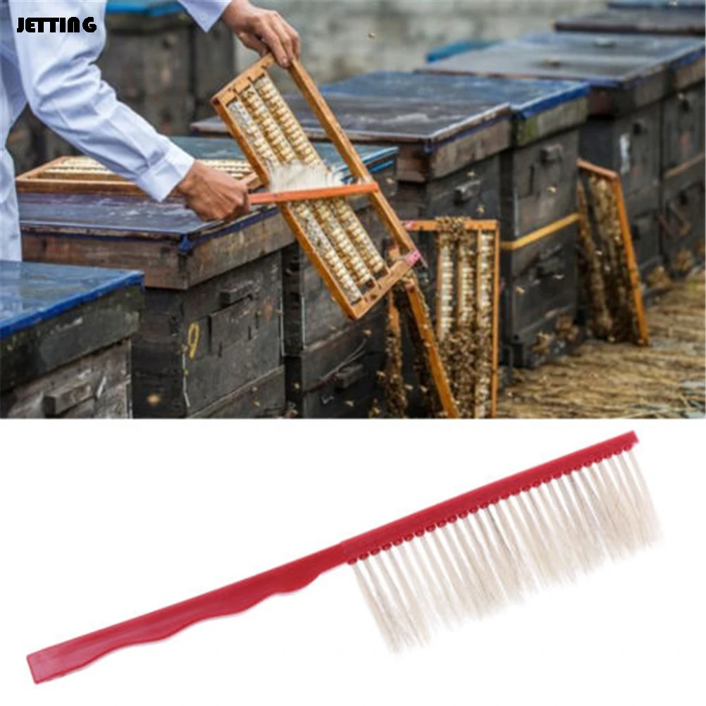 

1PC Plastic Beekeepers Bee Brush Sweep Bristle Beekeeping Bee Brush Beekeeper Beehive Tools 41cm
