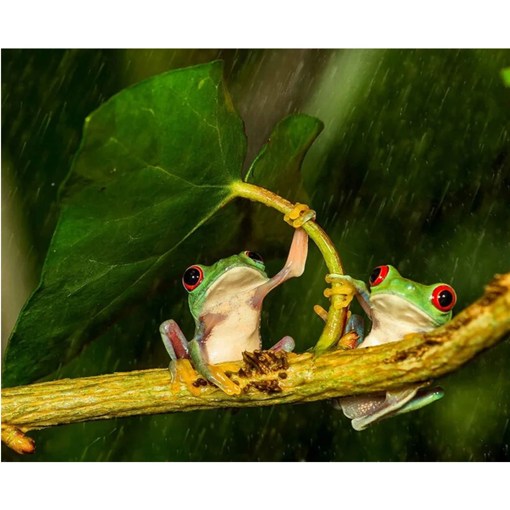 

Diy diamond painting cross stitch Two frogs rain diamond crystal Square Diamond Set Unfinished Full Diamond Embroidery H600