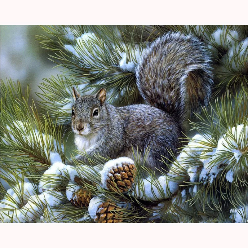 new Full diamond embroidery mosaic diamond cross stitch Needlework diamond painting 5D diy animal squirrel picture Home Decor