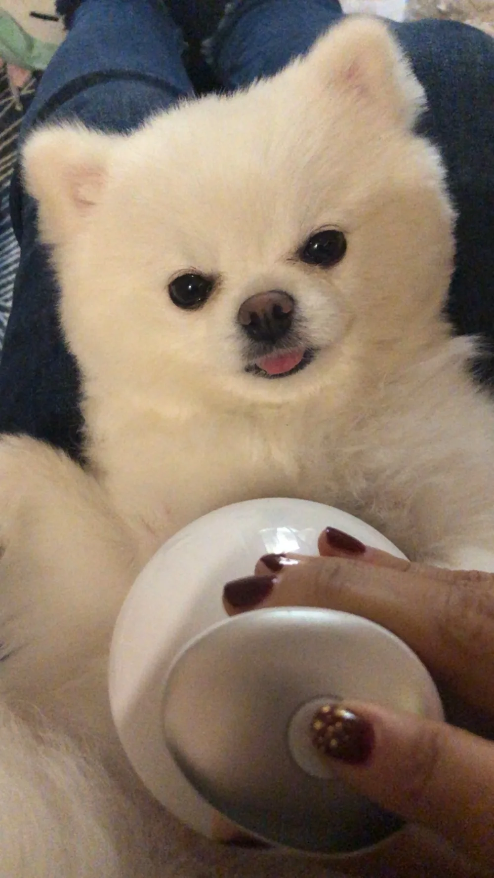 20190222_150627_005