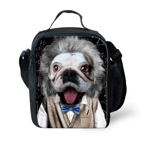 Модные сумки для ланча для девочек с 3D принтом собаки, сумка для пикника, сумка для женщин, сохраняющая тепло, сумка для ланча, тепловой мешок - Цвет: C0346G