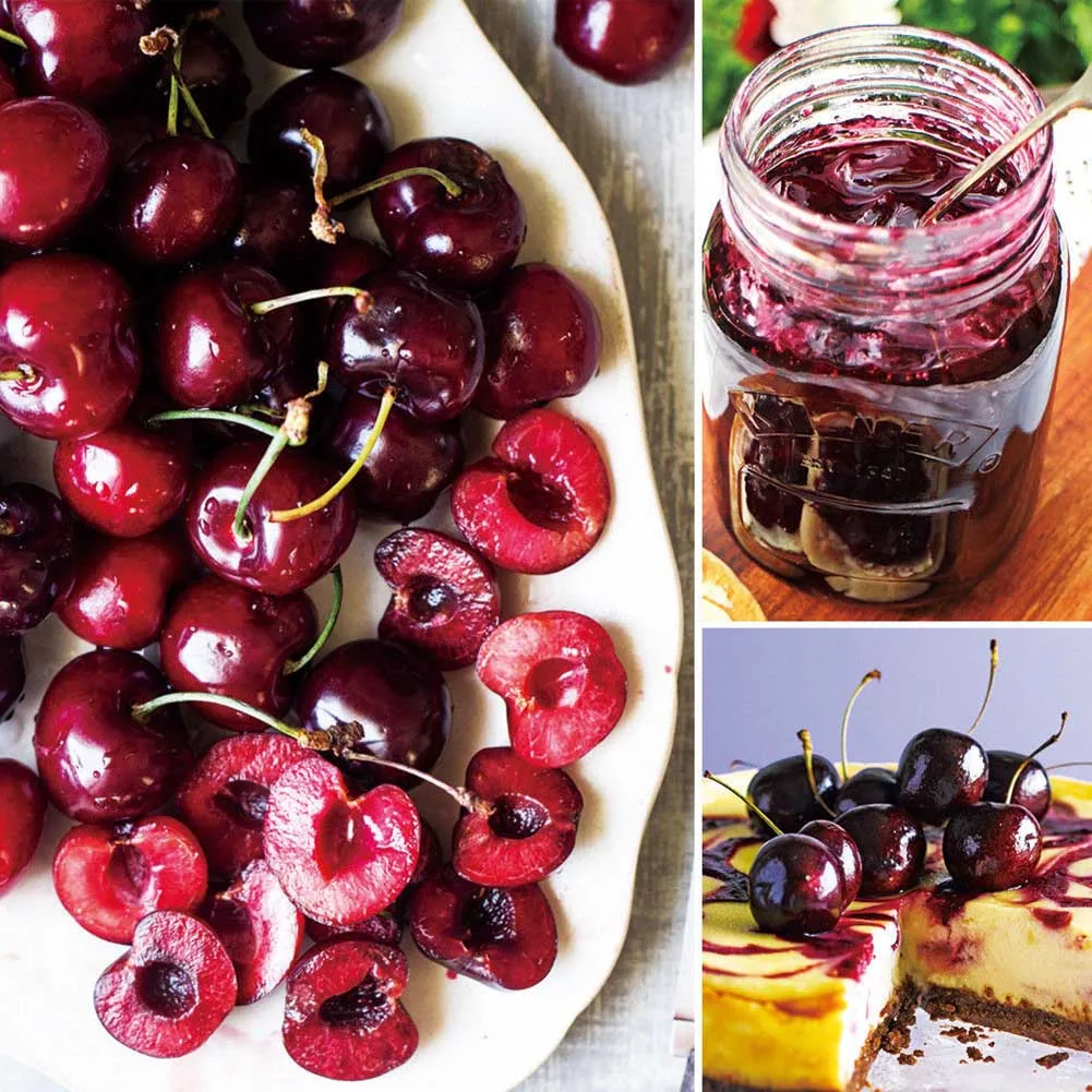 

Pitter Stone Seed Remover Cherry Olive Pits Tool Kitchen Corer Fruit Core Stoner YU-Home