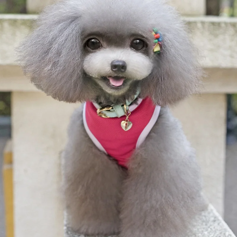 Рубашки для собак Chiwawa одежда Shih Tzu футболка йоркширского терьера домашних