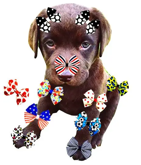 

Grosgrain Ribbon Hair Bows with Clips Hair Accessories for Small Pet Dogs Cats 20pcs