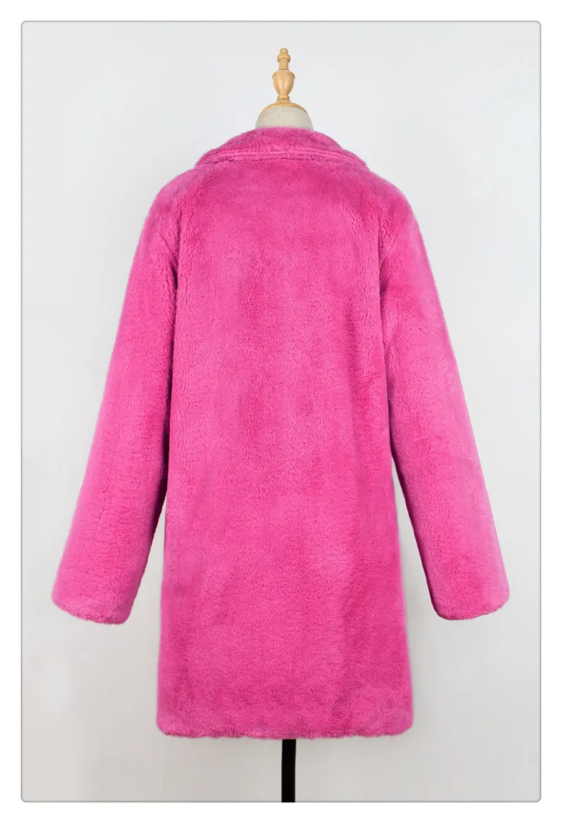 2018 fashion Europe and the United States popular plush coat jacket fur warm jacket female wild jacket autumn and winter new (11)