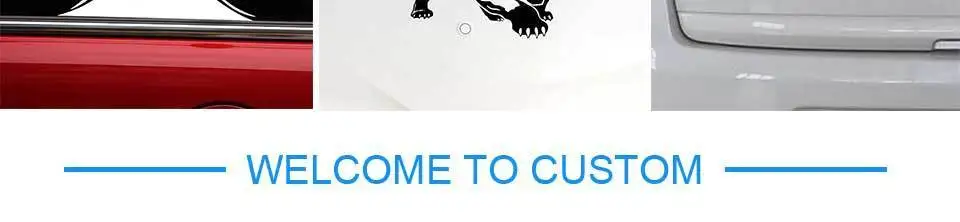 car sticker (4)