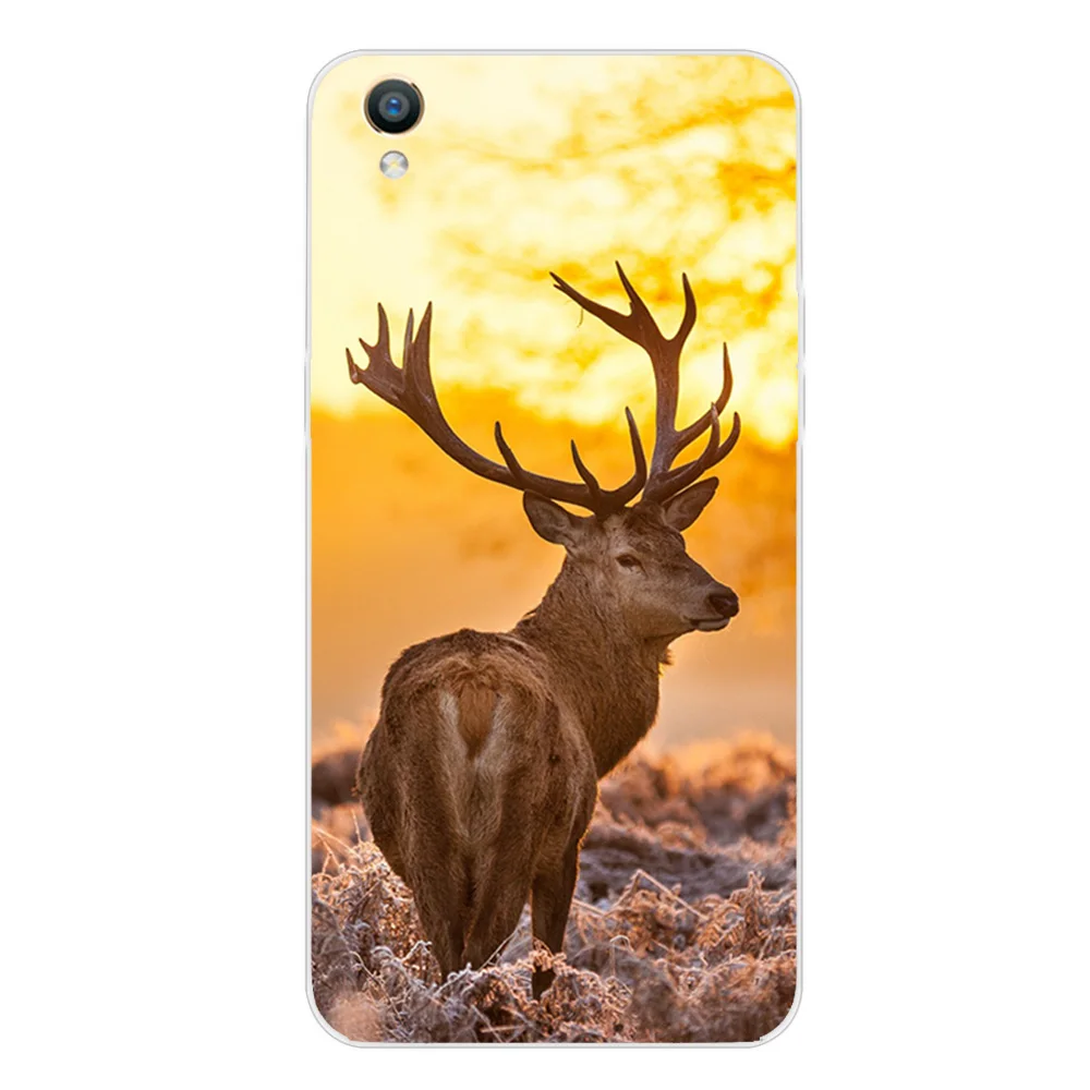 223398-OPPO R9 3-