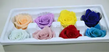 

diy Upscale Preserved flowers multiple Colour 8pcs/lot The real flowers 4-5cm