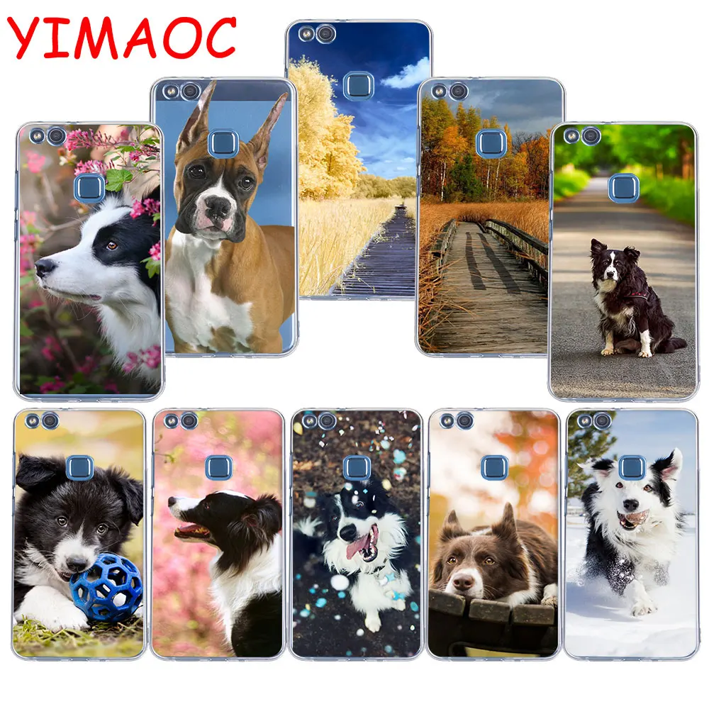 

YIMAOC 83z Border Collie Dog Soft TPU Case for Huawei P20 Pro P10 P9 P8 Lite P Smart Mate 10 lite 20 pro