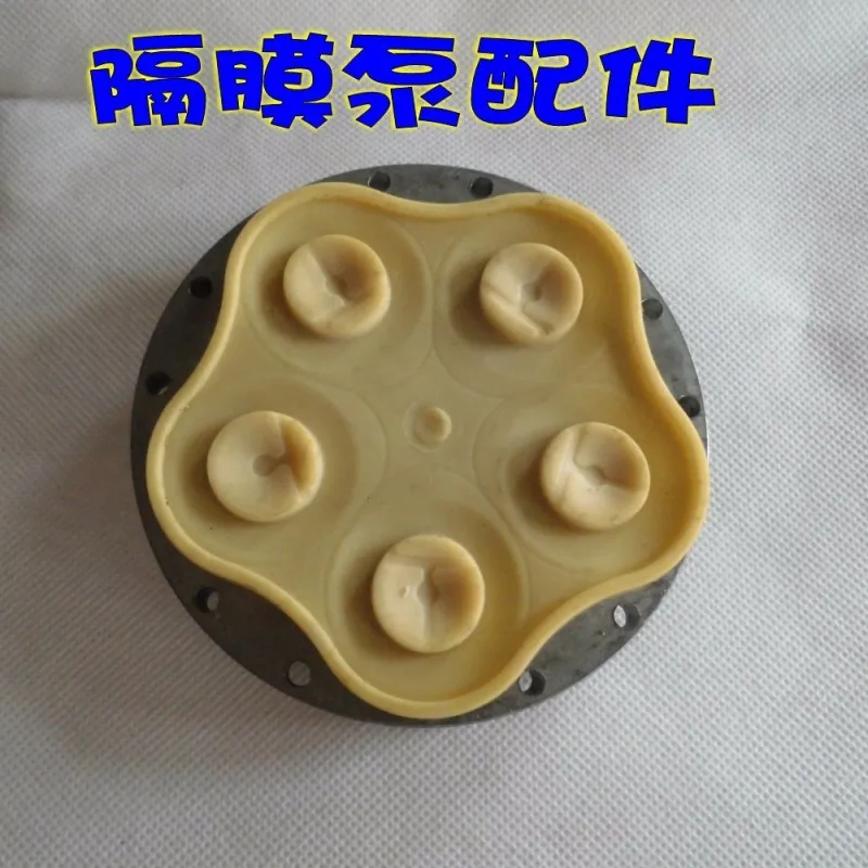diaphragm assy2