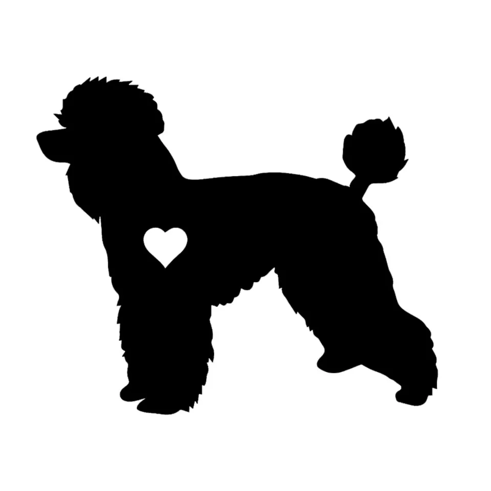 14CM11.8CM Standard Poodle Adopt Waterproof Vinyl Material Car Sticker BlackSilverLaser (2)
