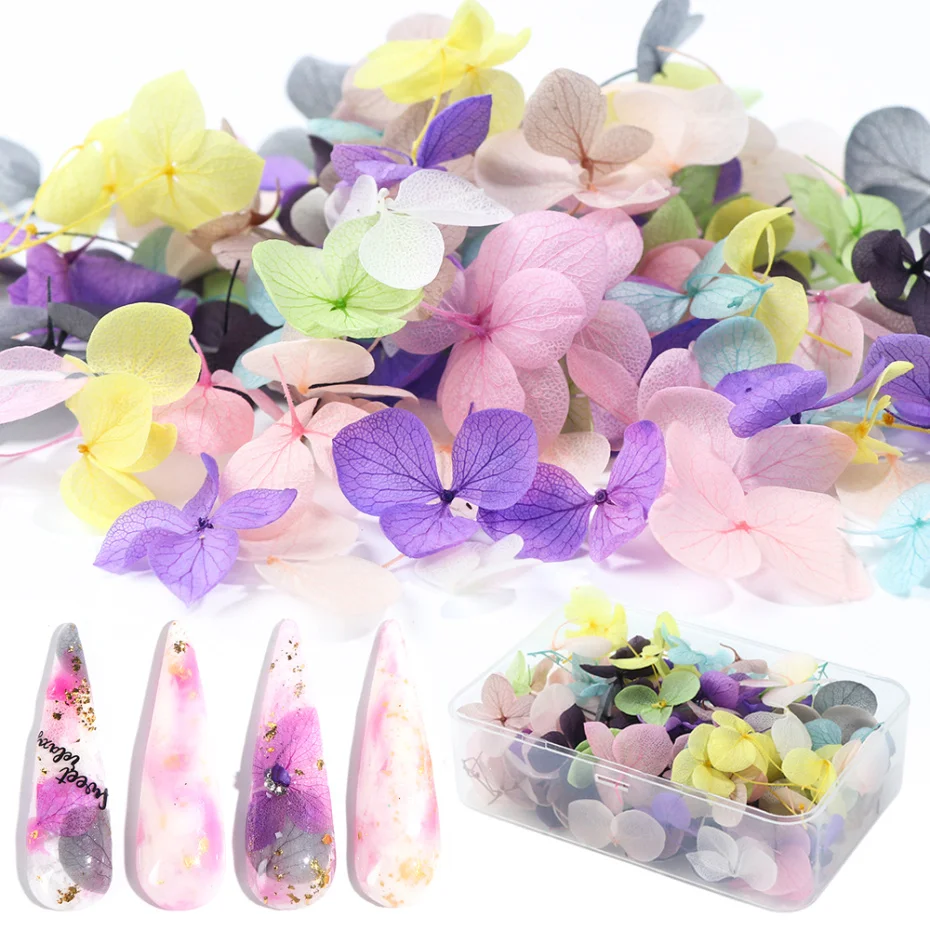 

100pcs Dried Flowers Nail Art Decoration DIY Natural Pressed Flora Gel Manicure Stickers Hydrangea Leaf 3D Nail Decor LA1505-1