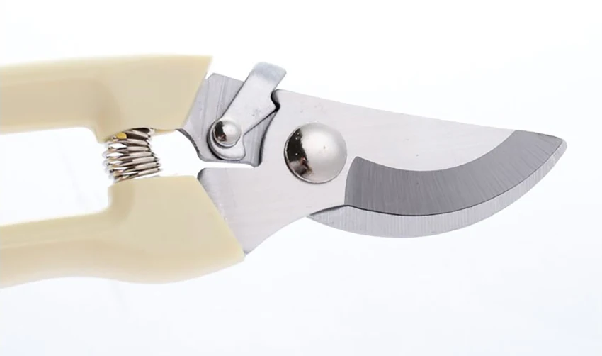 O1CN011Q1ZJHVbVzvIJwV_!!2261571916