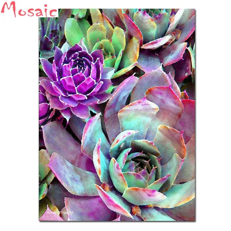 

Diamond Embroidery Succulent aloe Home Decoration Diamond Painting Picture Of Rhinestones Diamond Mosaic Picture Beading Hobby