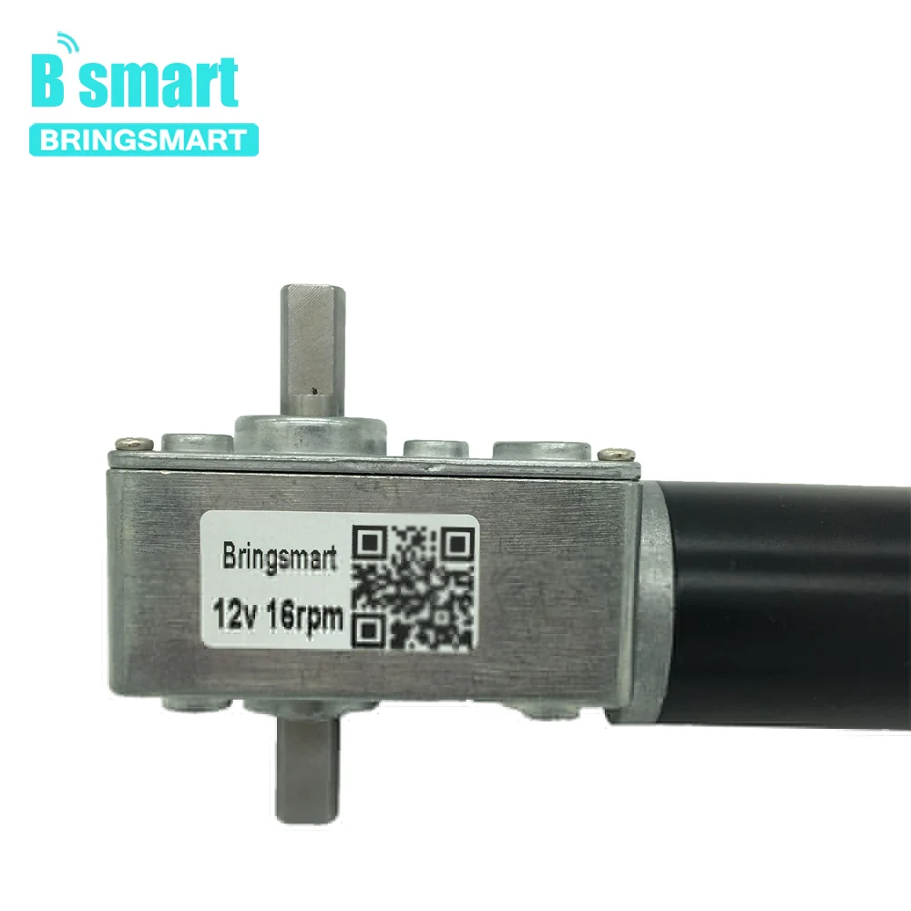 

Bringsmart Advertising Boar A58SW31ZYS Micro DC Motor 12V High Torque Worm Geared Motor Double Shaft 24V Reducer Reversible DIY