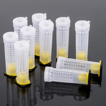 

10 PCS Beekeeping Cup Rearing Cups Roller Cages Home Garden Kit Beekeeper Equipment Tools Bee Cages Cell Cup Holder Cell Fixture