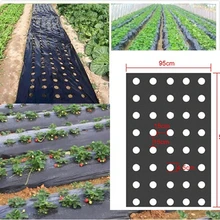 Membrane plastique perforée plantes agricoles | 5 trous 95cm * 50m 0.02mm noir jardin plante agricole paillage semis Film PE