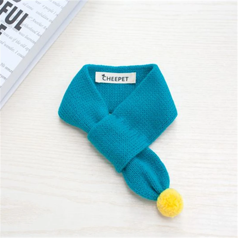 pets dogs accessories (12)