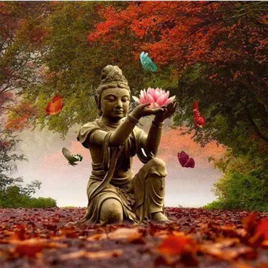 

Buddha met Lotusbloem
