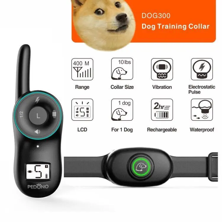 dog300-1