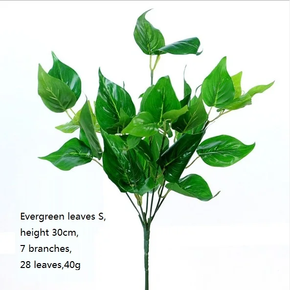Evergreen leaves S