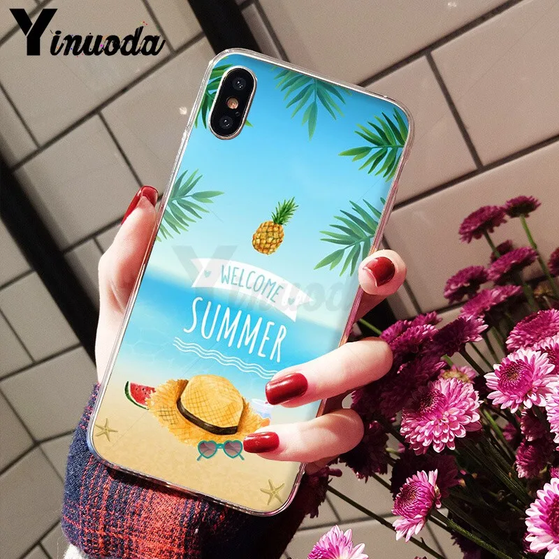 beach starfish blue sky