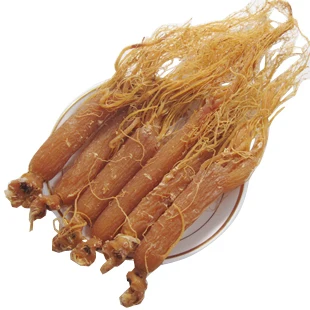 red ginseng 100g 12 years old panax ginseng root average weight 25-35g/root for the beauty and body health care raw material pure moxibustion stick for three years five years and seven years health care moxibustion and health preservation