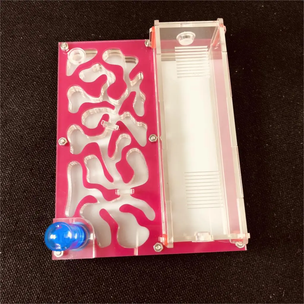 150mm x 110mm probówka wilgoci duża przestrzeń gniazdo mrówek, farma mrówek akrylowych, mrówki owadów dom willa mrówki ekologiczne warsztaty 5 150mm x 110mm probówka wilgoci duża przestrzeń gniazdo mrówek, farma mrówek akrylowych, mrówki owadów dom willa mrówki ekologiczne warsztaty 5