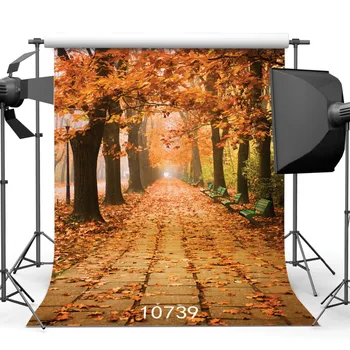 

Park Maple Pathway Yellow Trees Leaves Photographic Background Vinyl Cloth Photo Backdrops for Portrait Photo Shoot Studio