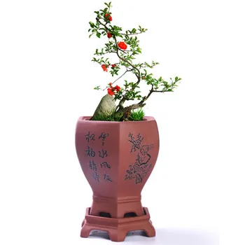 

Antique Orchid Purple Sand Flower Pot Stoneware Plant Bonsai Pot Large Size With Tray Household landscape pot