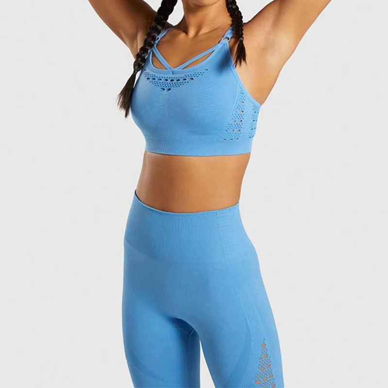 Женская одежда для тренировок, спортивная одежда, спортивный костюм, комплекты для спортзала, 2 предмета, бесшовный комплект с леггинсами для йоги, женский спортивный костюм для фитнеса, спортивная одежда - Цвет: Blue2