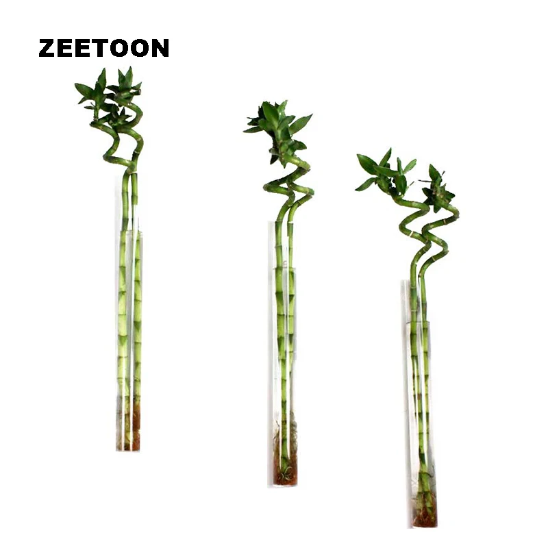 Современная многофункциональная акриловая настенная ваза длинная трубчатая гидропонная ваза офисная гостиная цветочный горшок креативный домашний декор